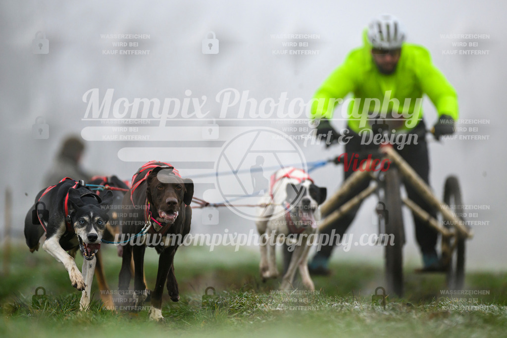 MompixPhotography_CDF2023_FFST_Di_Kart-18 | PayLife