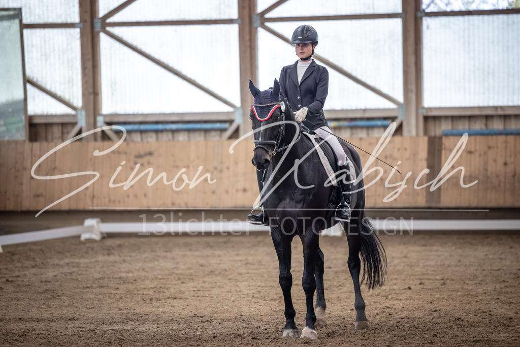 20251011-_3LI1461 | Tierfotografie Pferde, Hunde, Katzen, Haustiere.
Turnierfotografie Reitturniere, Reiten, Springreiten, Dressur in Hanau, dem Main-Kinzig-Kreis und dem Rhein-Main- Gebiet um Frankfurt