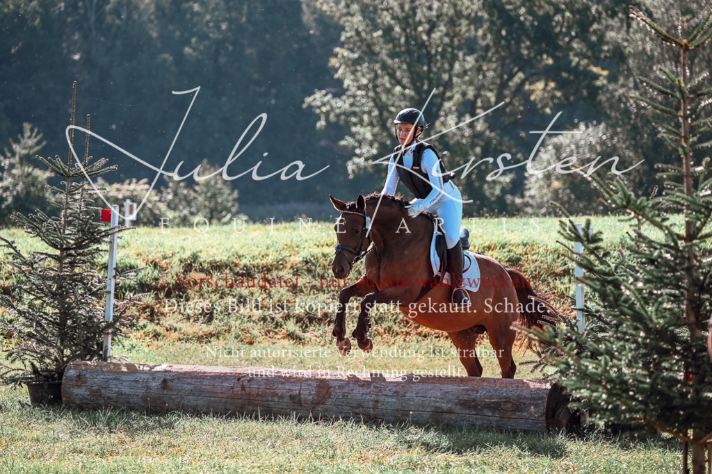 DSC_0667 | Pferde- und Turnierfotografie in Westsachsen. Pferdeportraits, Auftragszeichnungen und intuitive Kunst.