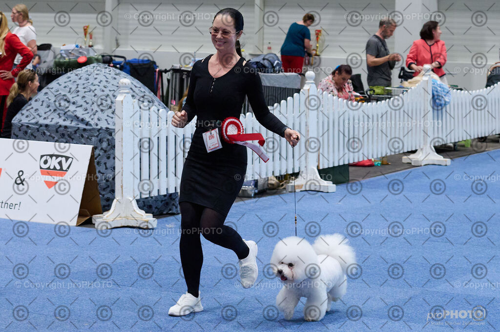 202406_ÖKV-IHA-Tulln24_DSC_5162 | proPHOTO - Realisiert mit Pictrs.com