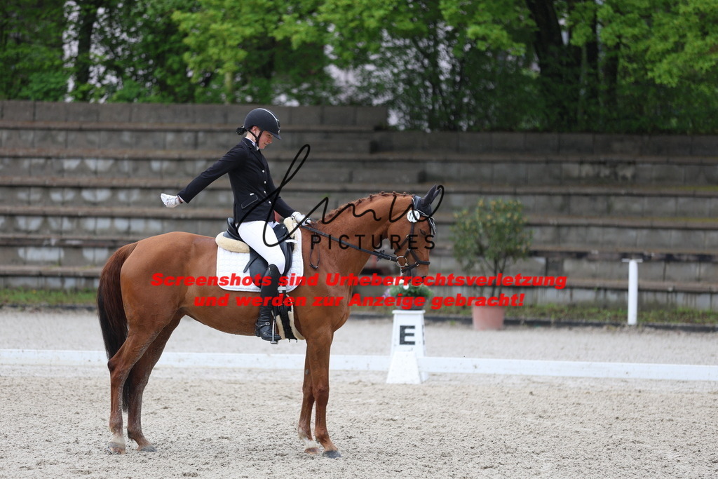 A40A8442 | lmwpictures - Realisiert mit Pictrs.com