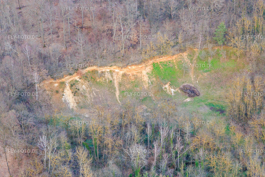 Abbruchkante im Wald | Luftbild: Abbruchkante im Wald im Ortsteil Ingenheim in Billigheim-Ingenheim im Bundesland Rheinland-Pfalz in Deutschland. Foto: IMG_126190.jpg vom 20.03.2021 durch ©2025 Werner Riehm fly-foto.de/copyright - Realisiert mit Pictrs.com