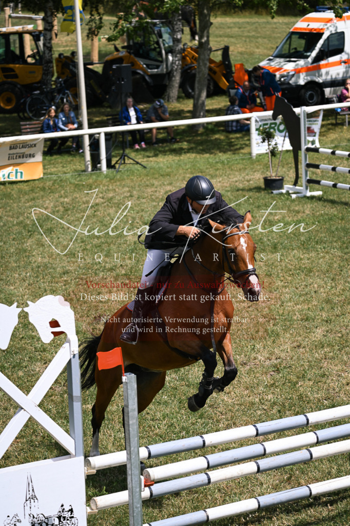 DSC_9413 | Pferde- und Turnierfotografie in Westsachsen. Pferdeportraits, Auftragszeichnungen und intuitive Kunst.