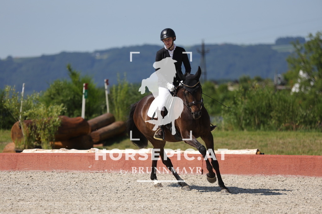 0P6A0279 | Willkommen bei Brunnmayr - Design & Fotografie – Ihrem Spezialisten für Reitturniere und Pferdeveranstaltungen in Oberösterreich, Salzburg und Bayern! Seit über 17 Jahren sind wir leidenschaftlich dabei.