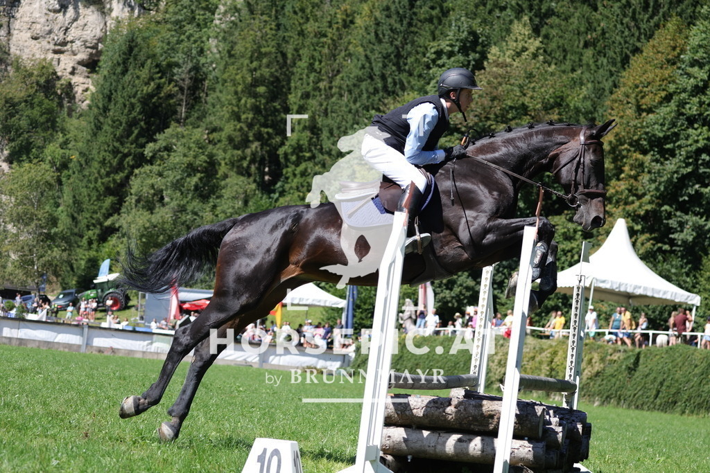 0P6A6675 | Willkommen bei Brunnmayr - Design & Fotografie – Ihrem Spezialisten für Reitturniere und Pferdeveranstaltungen in Oberösterreich, Salzburg und Bayern! Seit über 17 Jahren sind wir leidenschaftlich dabei.