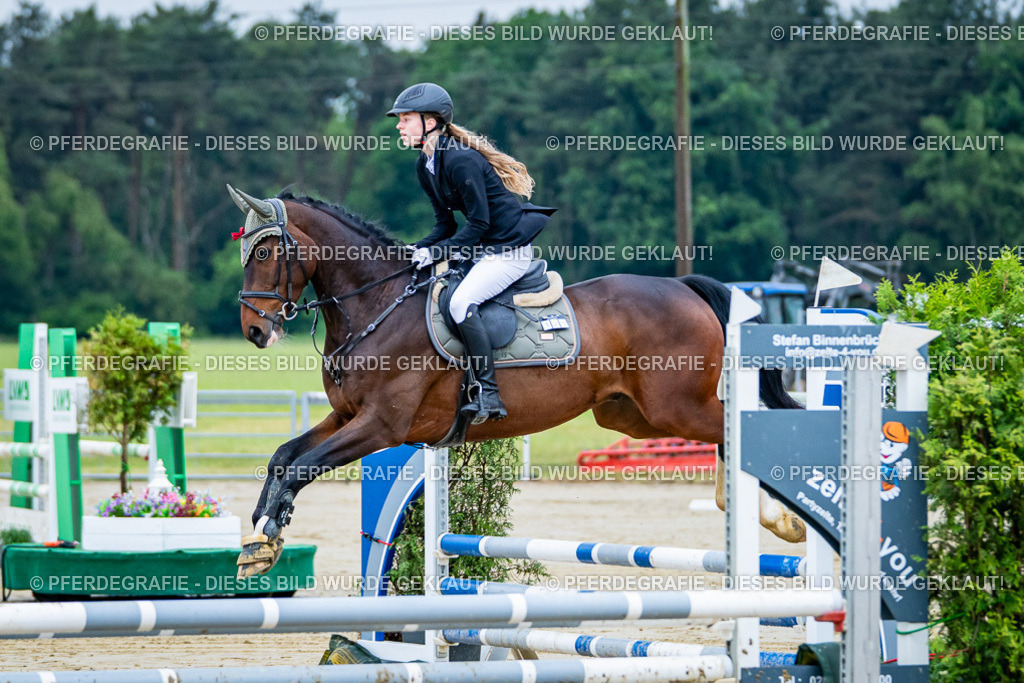 DSC01018 | Pferdegrafie