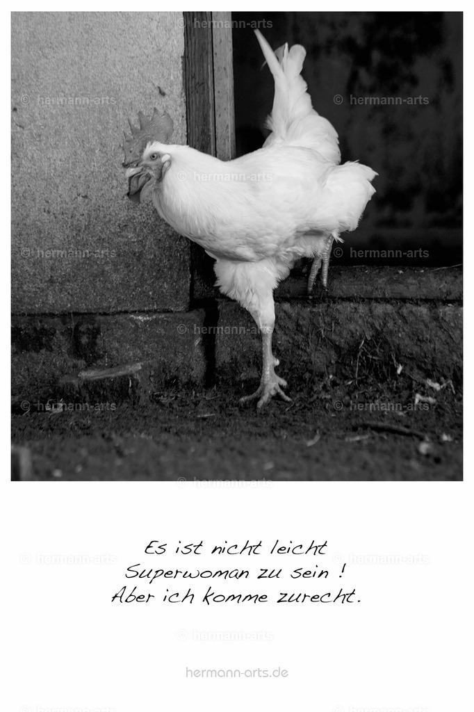 PK_Zitate_10x15_BW-113 | Photo Foto Kunst Art schwarzweiss Bilder Rheine Münster Berlin Blumen 