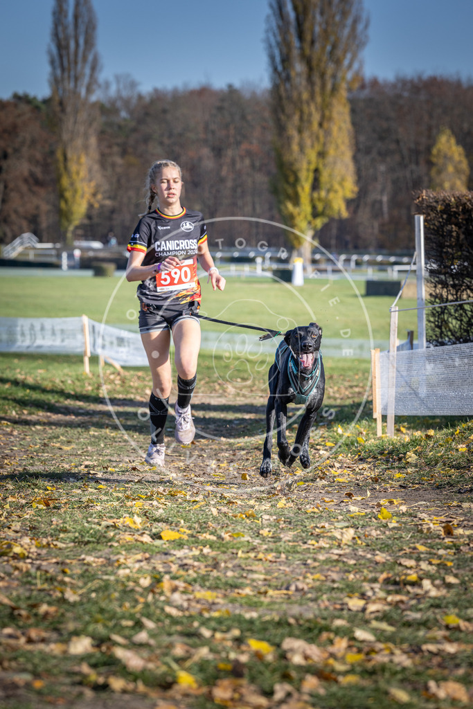 CaniXpix_DV3A9238 | Hundefotografie, Tierfotograf, Pfotenfotografie, Fotoshooting Hund, Hunde Portrait, Hundesport, Hundeportraits, Heideshooting, Hunde, Sportfotograf, Hundefotograf, Turnierhundsport, THS,  - Realisiert mit Pictrs.com
