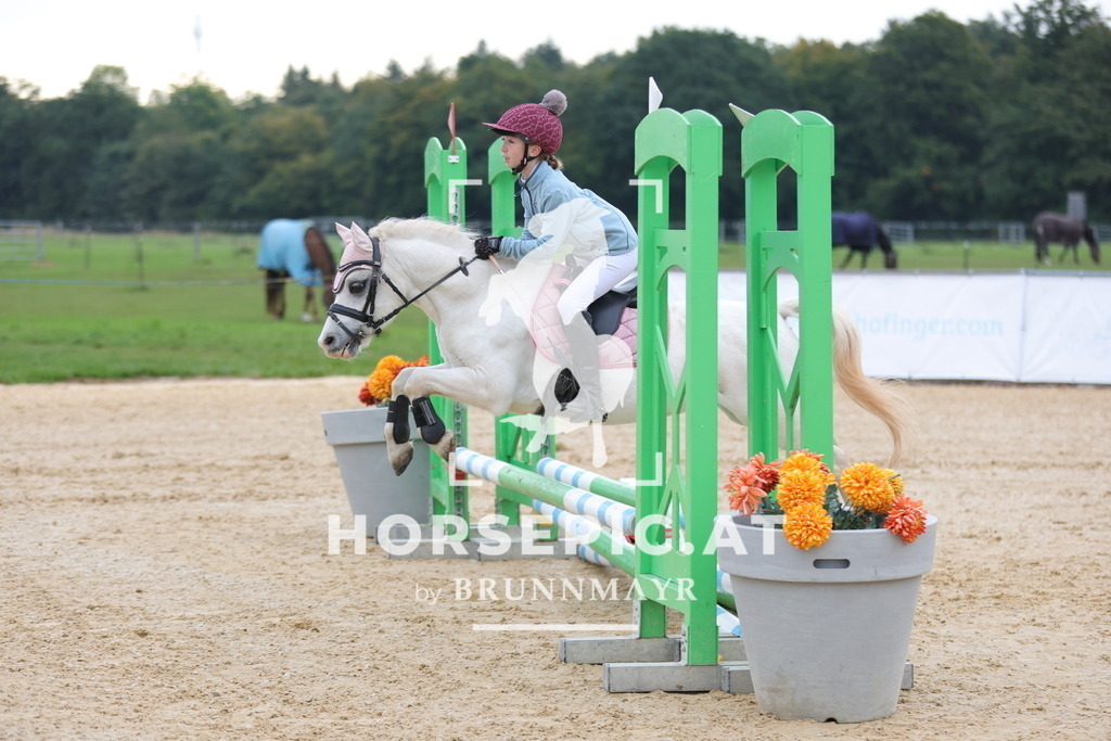 0P6A2659 | Willkommen bei Brunnmayr - Design & Fotografie – Ihrem Spezialisten für Reitturniere und Pferdeveranstaltungen in Oberösterreich, Salzburg und Bayern! Seit über 17 Jahren sind wir leidenschaftlich dabei.