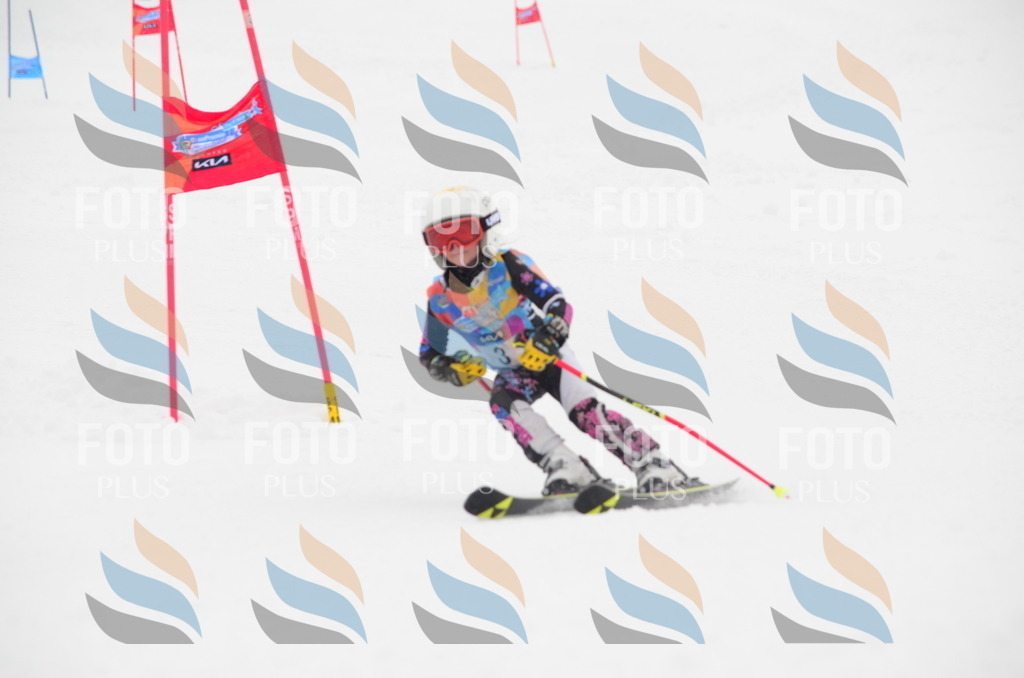 C0533 | holidayphoto