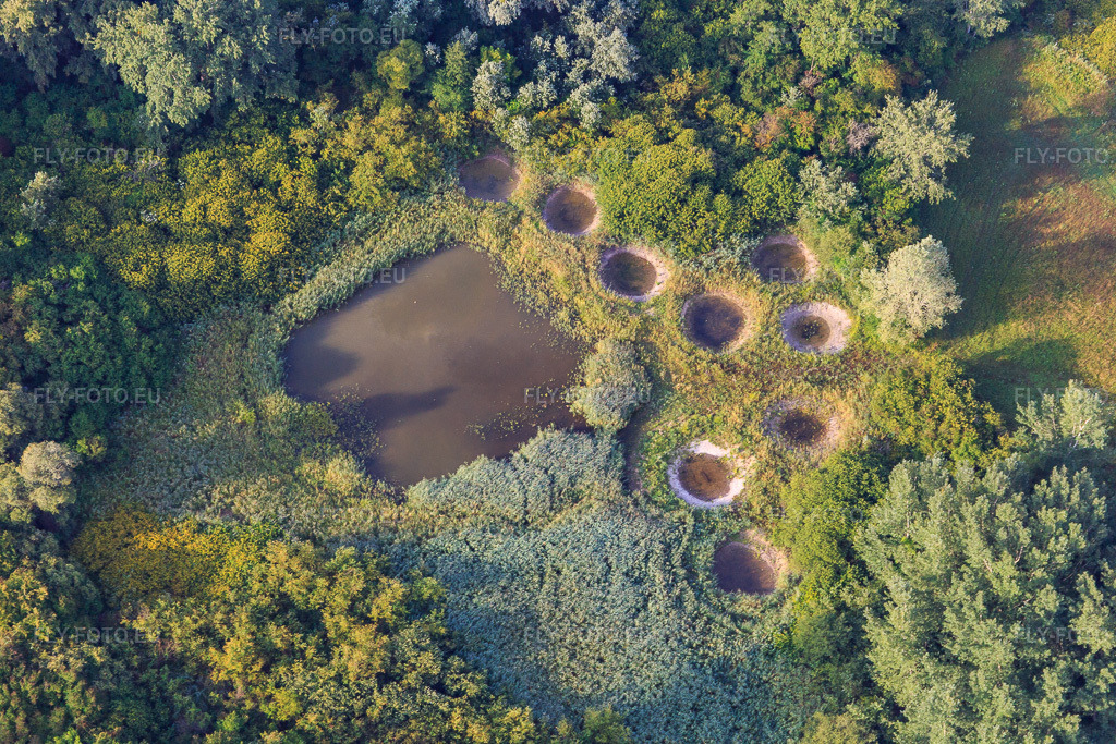 Vue aérienne: Réserve naturelle Réserve biologique dirigée de Lauterbourg à Lauterbourg dans le département Bas Rhin, France. Photo: IMG_149482.jpg prise le 09/08/2025 par Werner Riehm/FLY-FOTO.euRésolution de l'original: 5472 x 3648 pxINPN.MNHN.FR