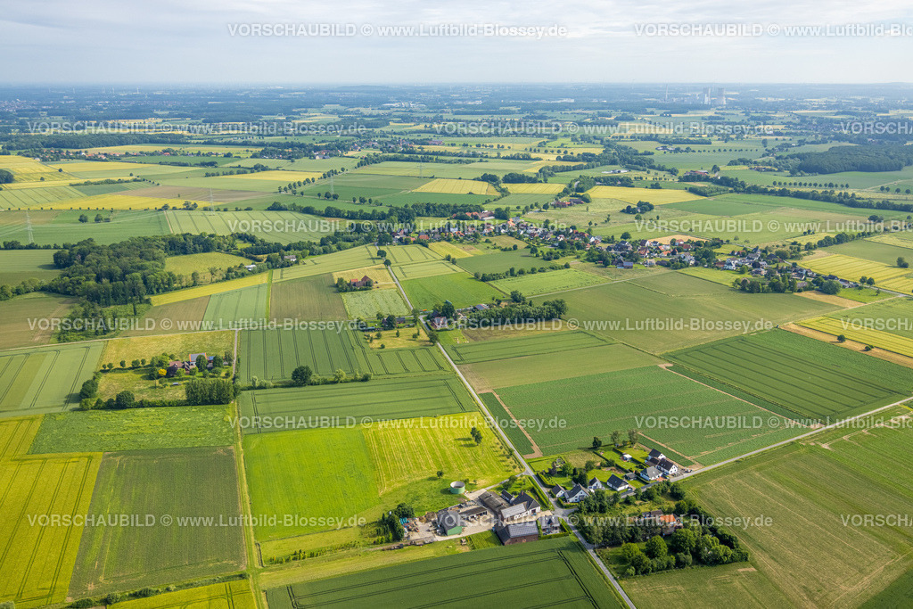 Hamm220602133 | Luftbild, Wiesen und Felder am Ortsteil Illingen, Welver, Ruhrgebiet, Nordrhein-Westfalen, Deutschland