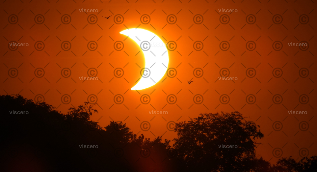 Screenshot 2026-08-14 000525 | viscero