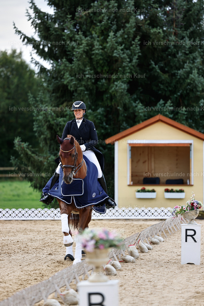 10-Siegerehrung-ST.GEORG SPECIAL -StoibPH-3300 | working equitationturnier fotograf videograf stoibphotography marixx film working equitation deutschland reitsport turnierfotografie eventfotografie equestrian events
