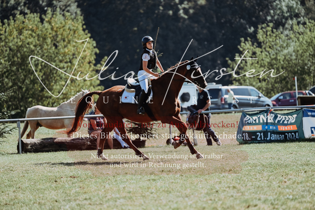 DSC_6710 | Pferde- und Turnierfotografie in Westsachsen. Pferdeportraits, Auftragszeichnungen und intuitive Kunst.