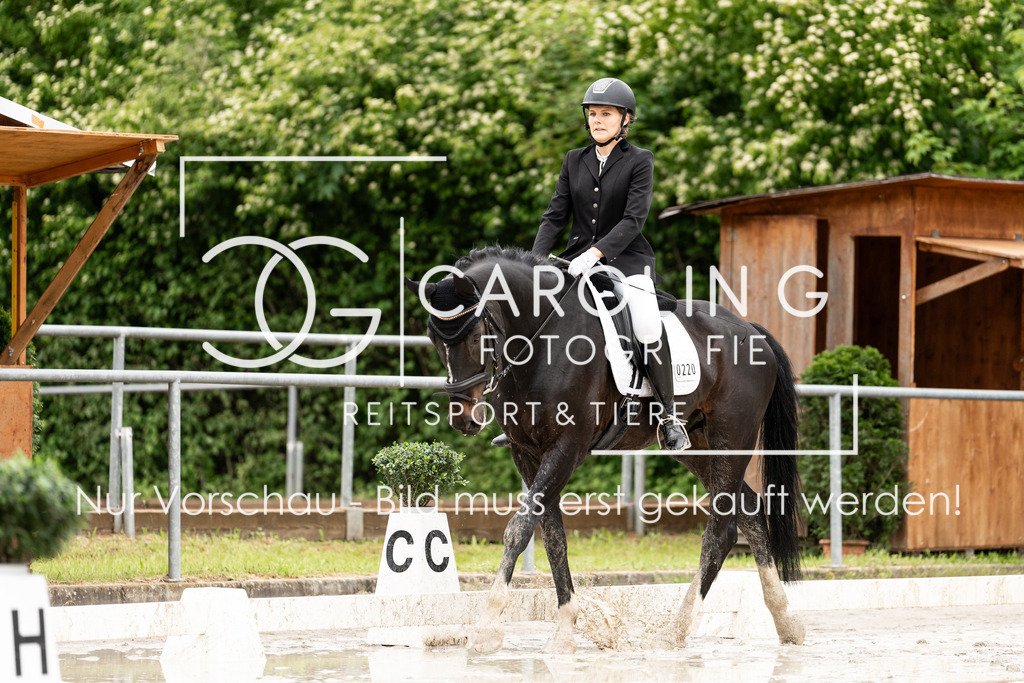 DSC07219 | Turnierfotografin Carolin Gieschke, Turnierfotografie Carolin G Fotografie, Turnierfotos Kirchheim/Teck, Esslingen, Stuttgart, Bodenseekreis
