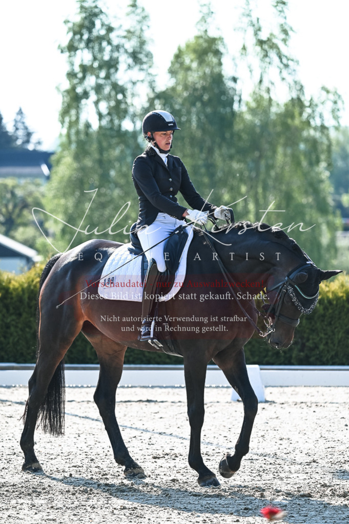 20230514_JK-Röhrsdorf-18-025 | Pferde- und Turnierfotografie in Westsachsen. Pferdeportraits, Auftragszeichnungen und intuitive Kunst.