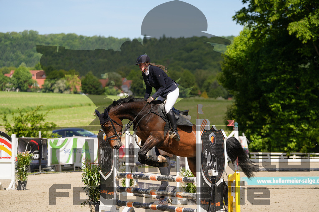 DSC02235 | Julian Held Fotografie - Realisiert mit Pictrs.com