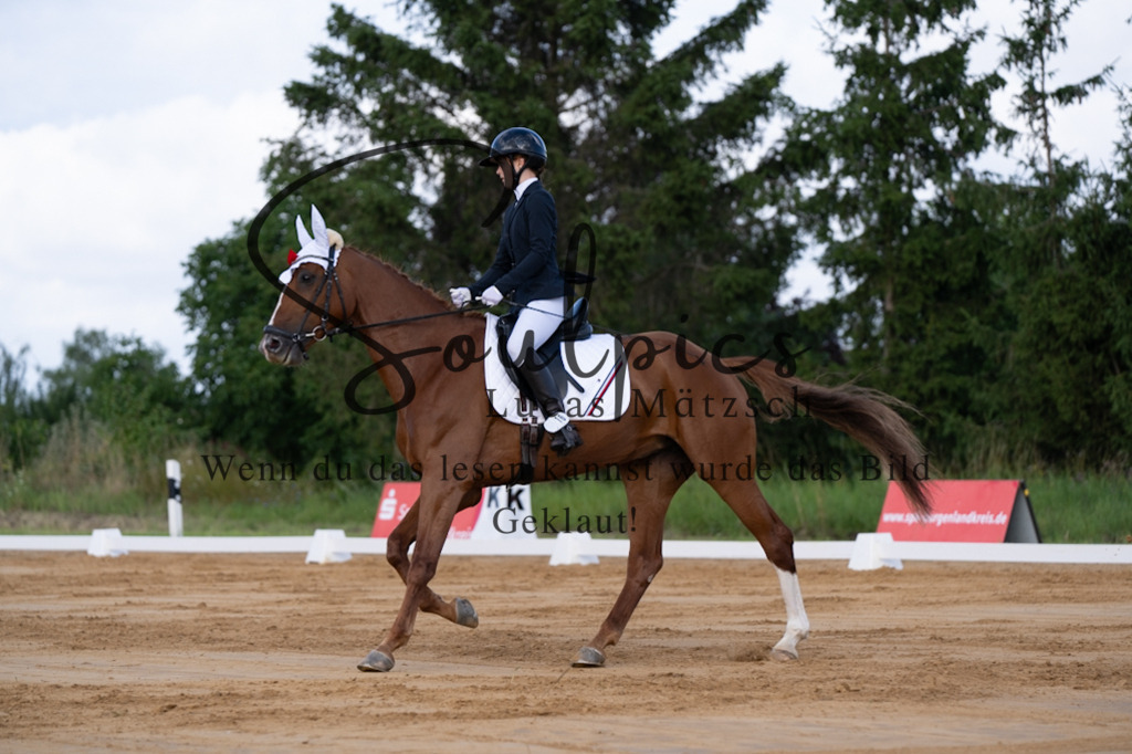 A7V05128 | Pferdefotograf