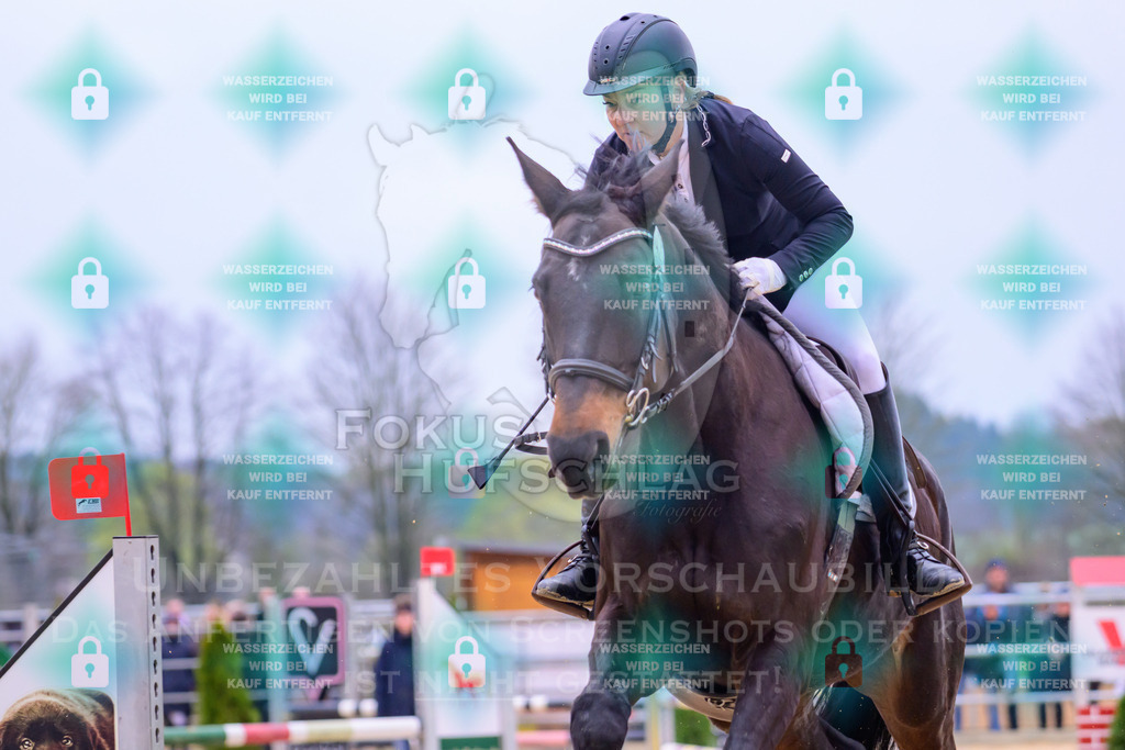 10042026-Mammendorf-Prfg17-0134 | Fokus Hufschlag Fotografie - Realisiert mit Pictrs.com