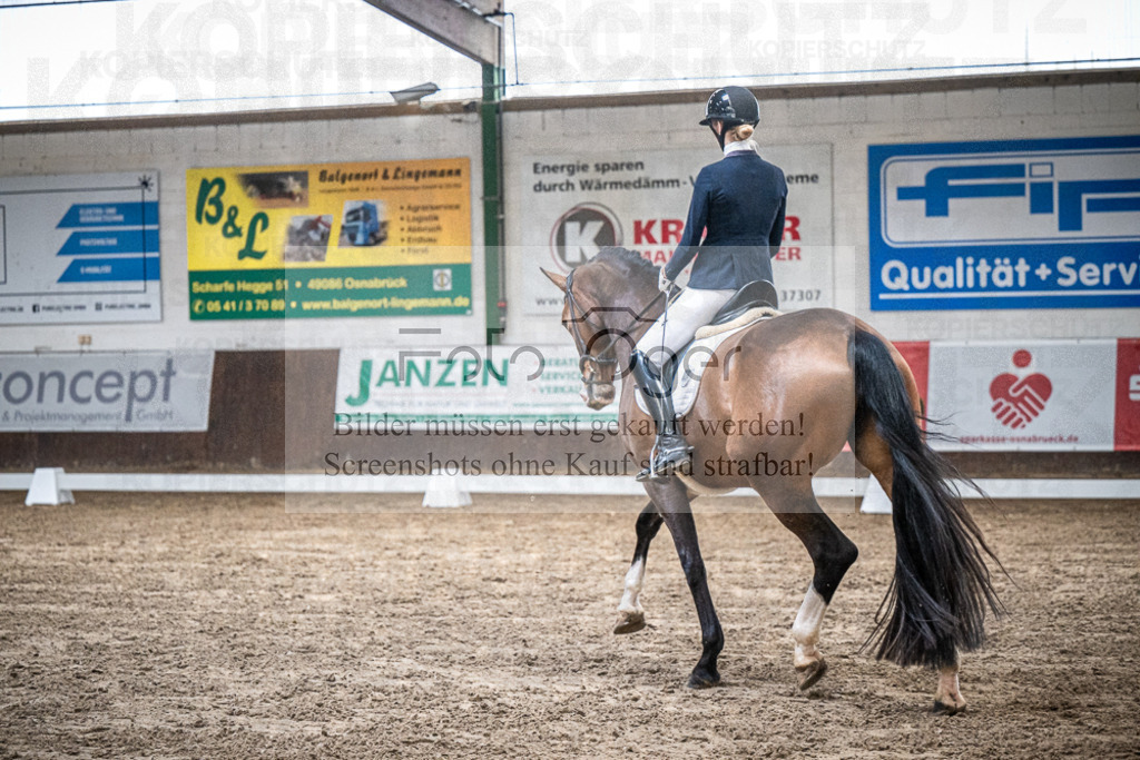DOS_0663 | Entdecke hochwertige Reitturnierfotos von Foto Oger. Professionell, emotional und authentisch – jetzt Lieblingsmomente im Shop bestellen.Deutschlandweite Turnierfotografie. - Realized with Pictrs.com