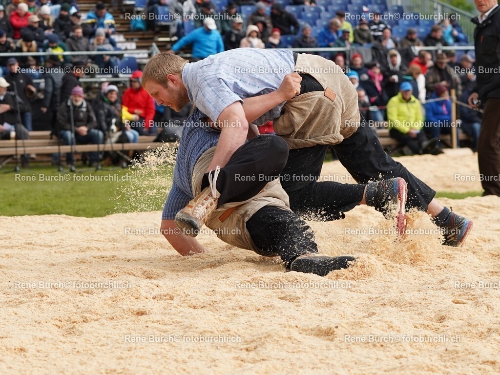 DSC06929 (2) | René Burch leidenschaftlicher Fotograf aus Kerns in Obwalden.  Hier finden sie Sport, Landschaft und Natur Fotografie.
 - Realisiert mit Pictrs.com