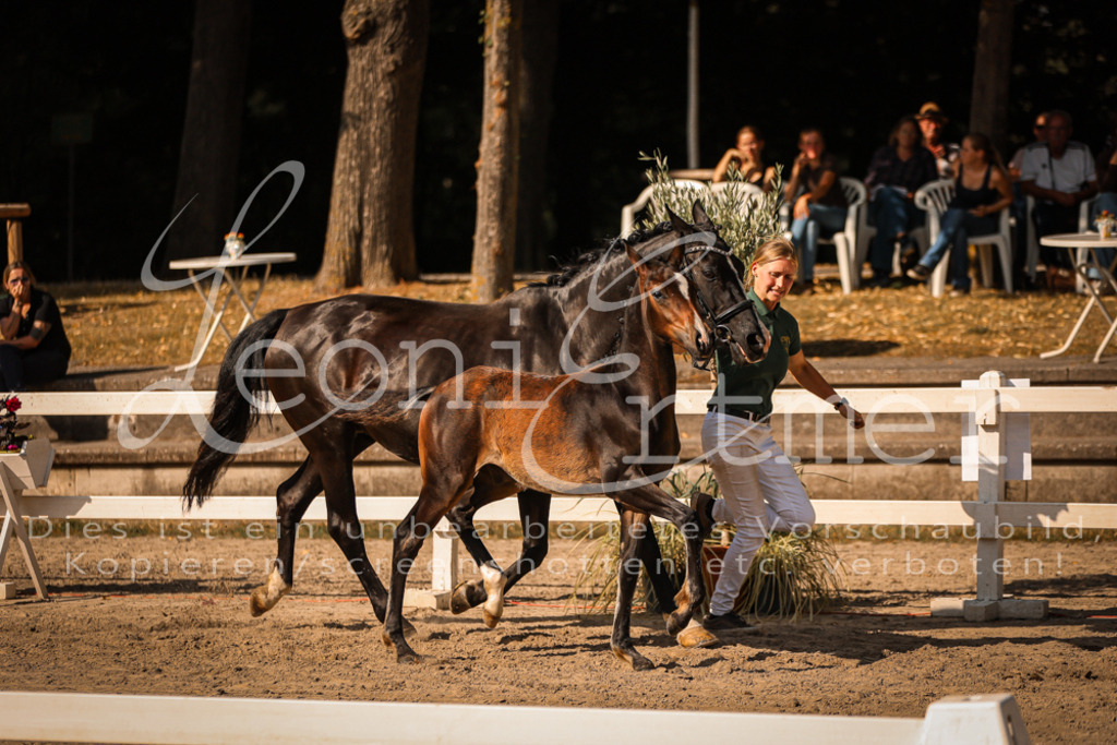 11.DoRP00063 | Leoni Ertmer Photography - Realisiert mit Pictrs.com