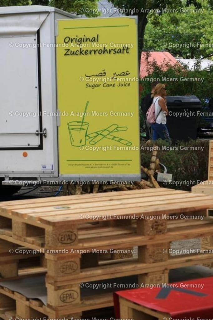 IMG_4674 | aragon-pics - Realisiert mit Pictrs.com