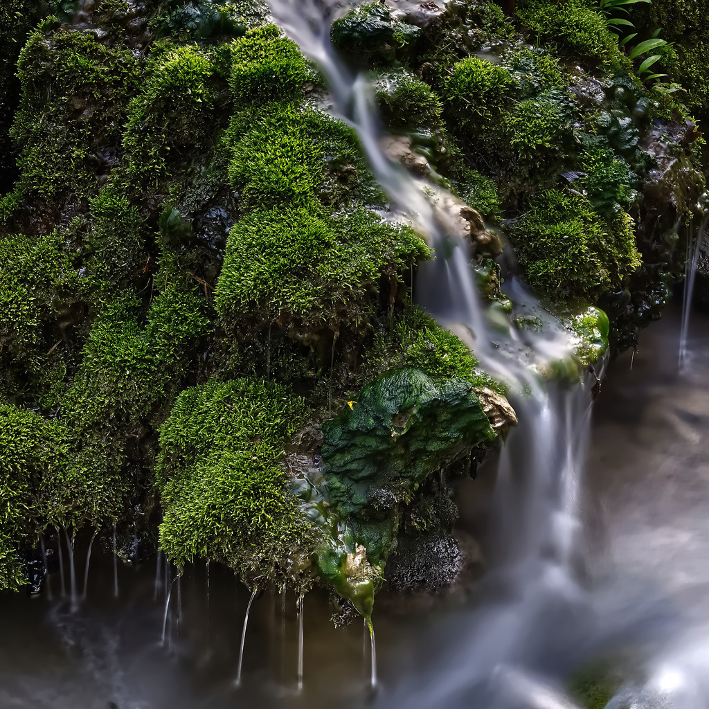 20230422_DSC05593_filter_1_1 | In diesem Shop werden vorwiegend künstlerisch hochstehende Aufnahmen aus dem Bereich der Naturfotografie zum Verkauf angeboten. - In this store mainly artistic high quality shots from the field of nature photography are offered for sale. - Realisiert mit Pictrs.com
