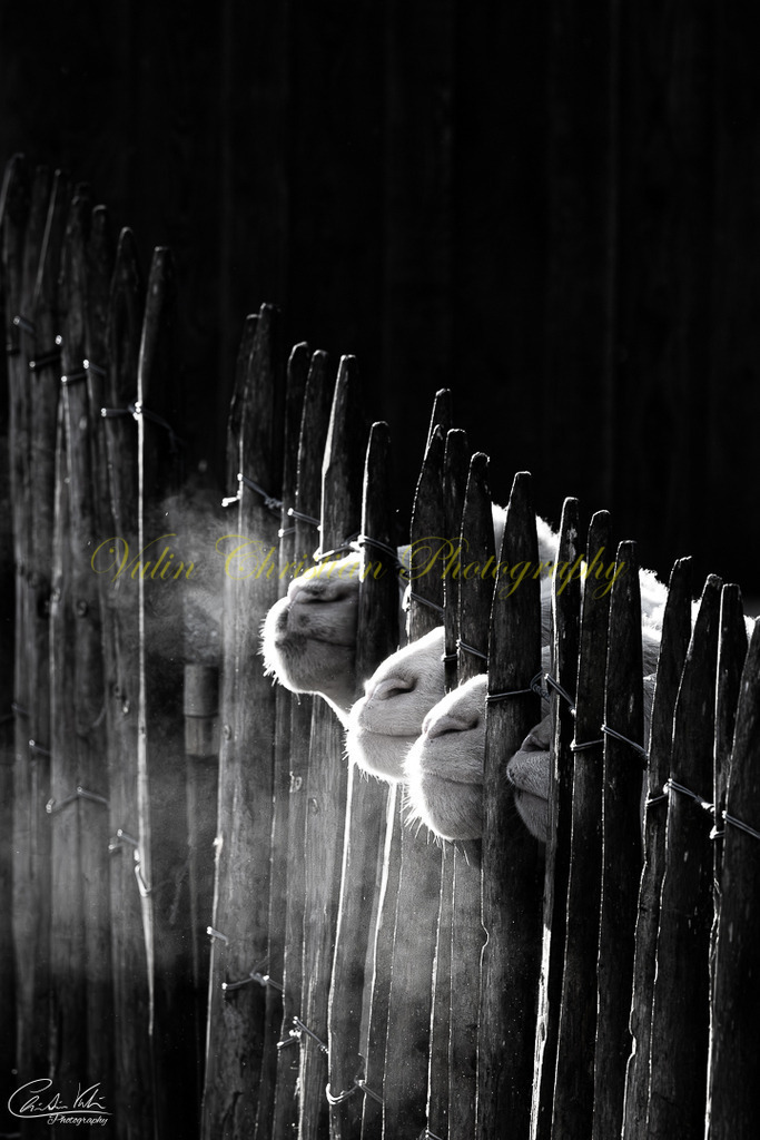 TPH 9 | Christian Vulin  - Realisiert mit Pictrs.com