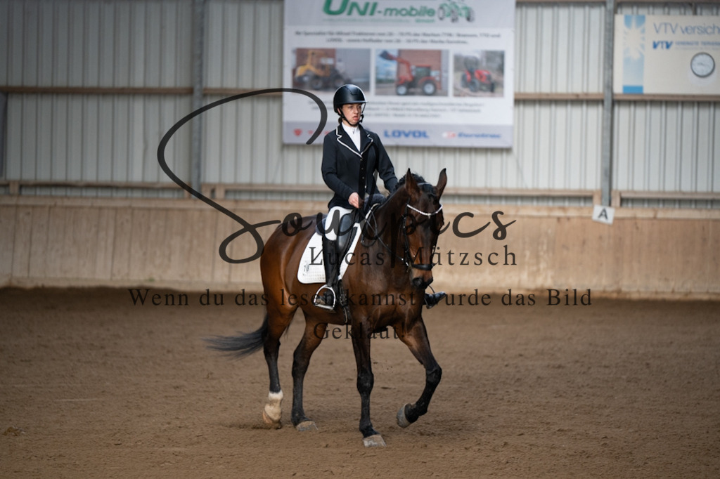 A7V05200 | Pferdefotograf