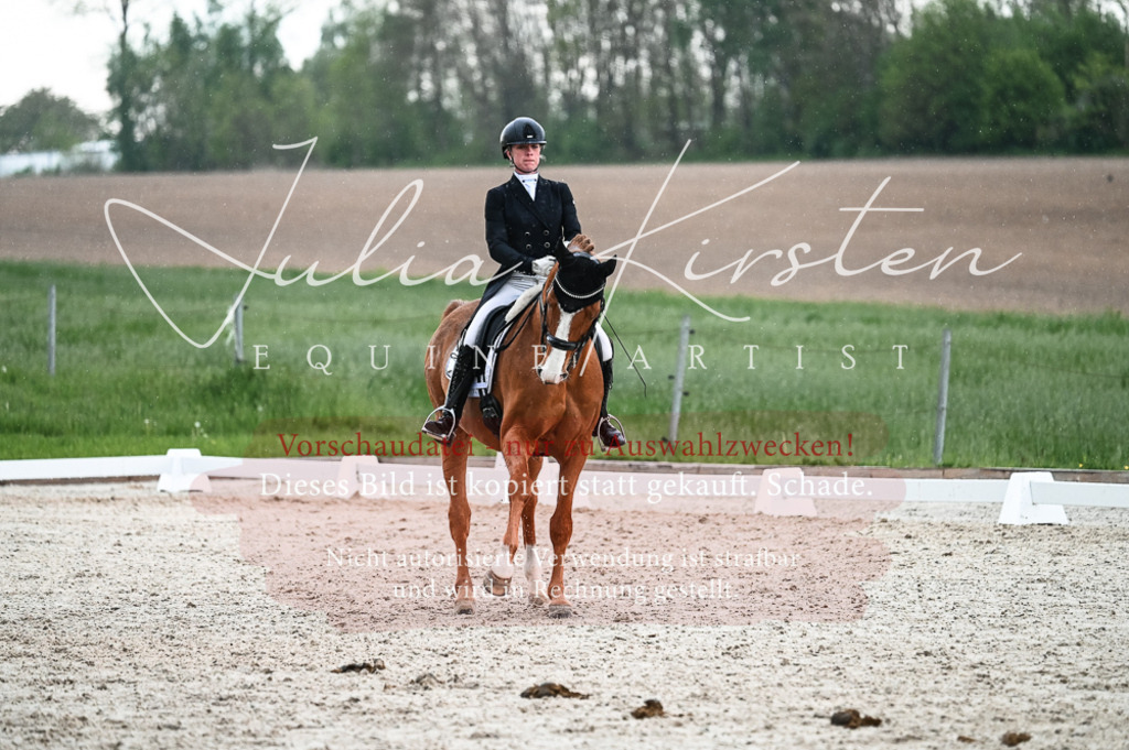 20230514_JK-Röhrsdorf-21-670 | Pferde- und Turnierfotografie in Westsachsen. Pferdeportraits, Auftragszeichnungen und intuitive Kunst.