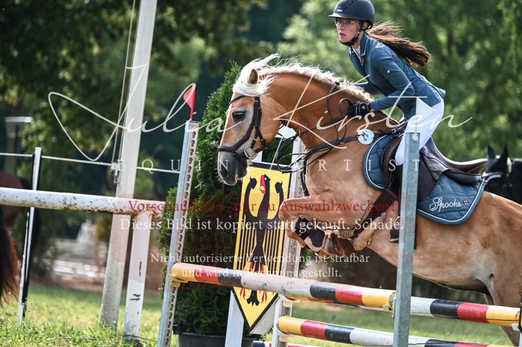 DSC_7932 | Pferde- und Turnierfotografie in Westsachsen. Pferdeportraits, Auftragszeichnungen und intuitive Kunst.