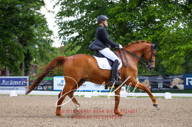 DKP41283 | Turnierfotos kaufen im Webshop von Daniel Kuhl Photography – entdecke professionelle Reitsportfotos aus Turnieren & Events. Hochwertige Turnierbilder online bestellen & sichern. Jetzt Fotos von Reitsportturnieren kaufen!