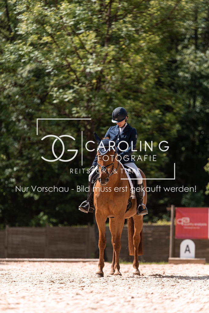 DSC_9723 | Turnierfotografin Carolin Gieschke, Turnierfotografie Carolin G Fotografie, Turnierfotos Kirchheim/Teck, Esslingen, Stuttgart, Bodenseekreis