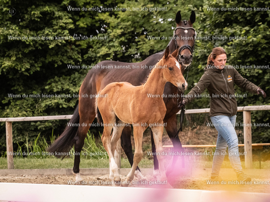 A10I6377 | photographylinaismer - Realisiert mit Pictrs.com