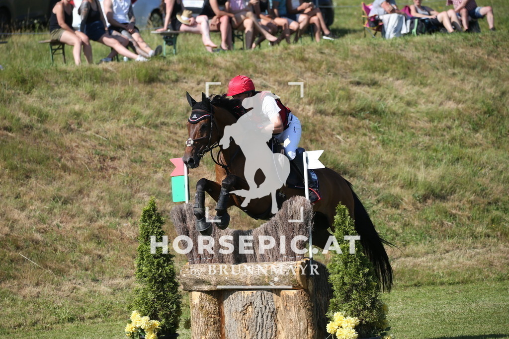 DL2Q2045 | Willkommen bei Brunnmayr - Design & Fotografie – Ihrem Spezialisten für Reitturniere und Pferdeveranstaltungen in Oberösterreich, Salzburg und Bayern! Seit über 17 Jahren sind wir leidenschaftlich dabei.