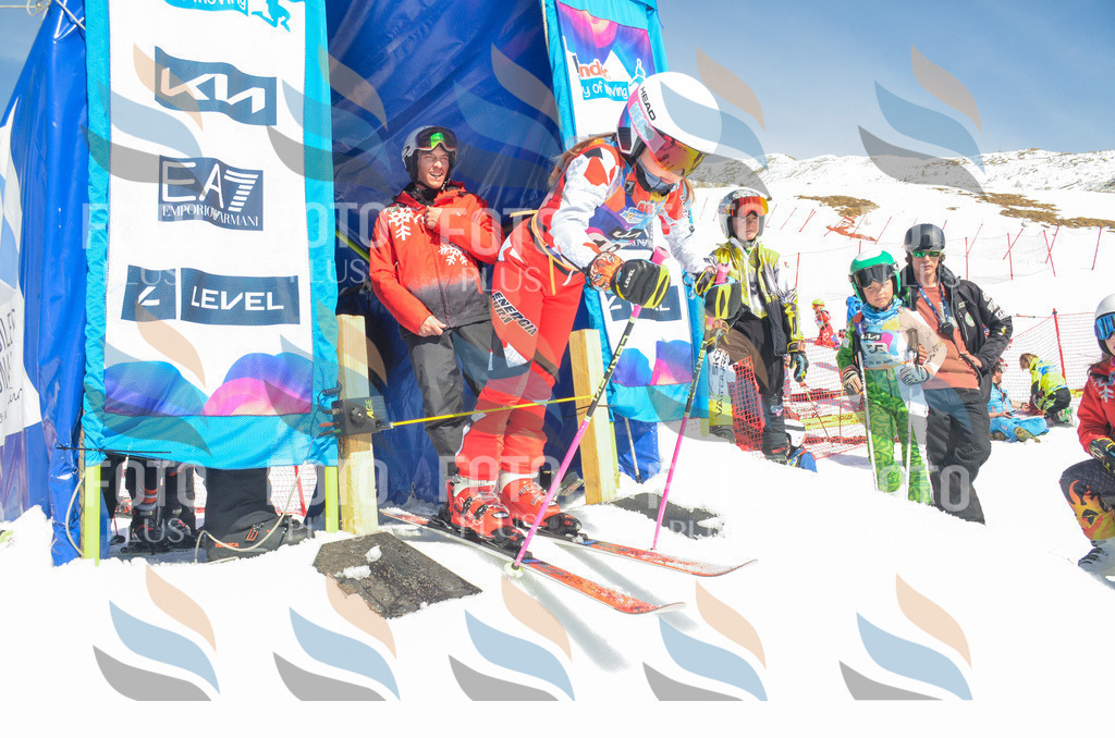 _ELE6098 | holidayphoto