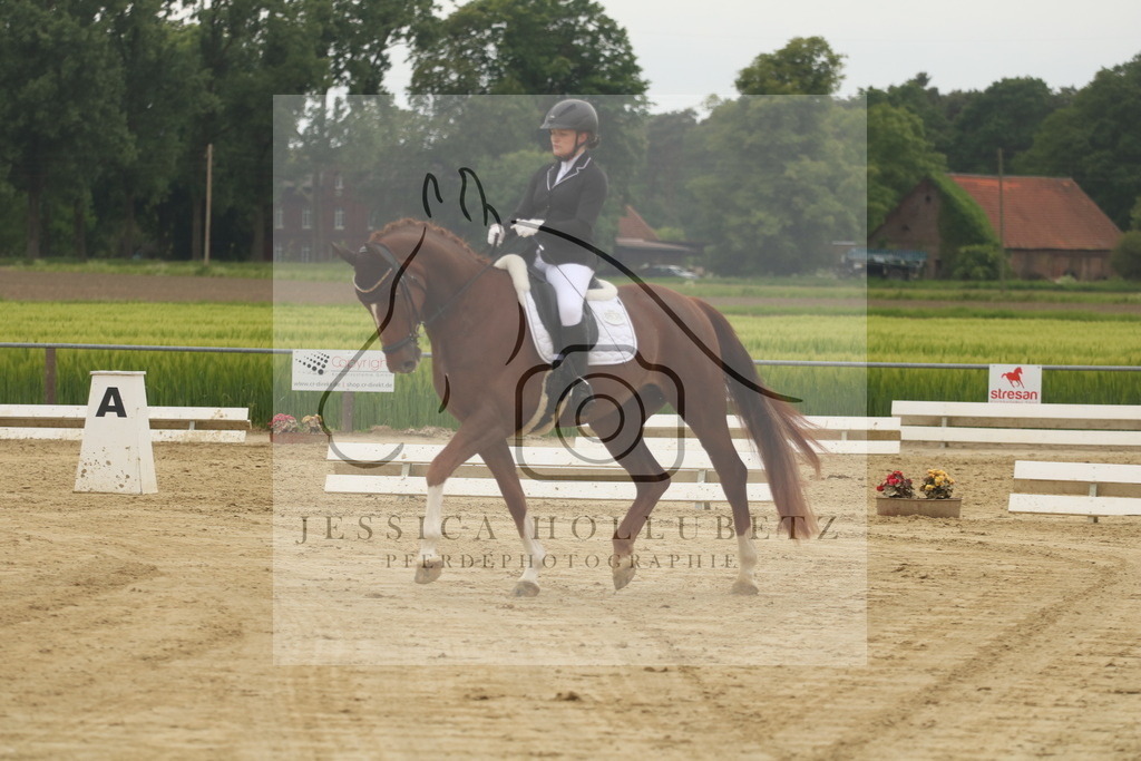 IMG_6684 | jessicahollubetz_pferdephotographie - Realisiert mit Pictrs.com