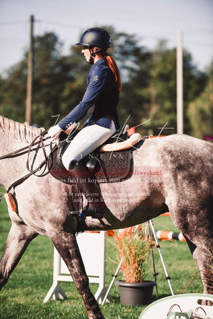 DSC_2151 | Pferde- und Turnierfotografie in Westsachsen. Pferdeportraits, Auftragszeichnungen und intuitive Kunst.