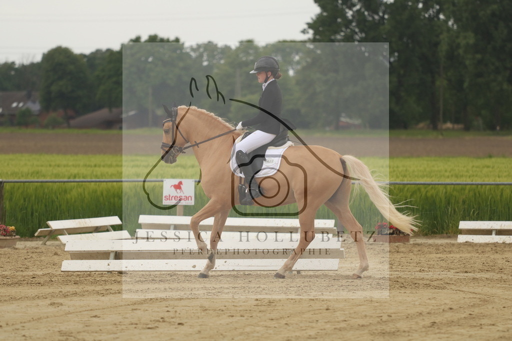 IMG_6627 | jessicahollubetz_pferdephotographie - Realisiert mit Pictrs.com