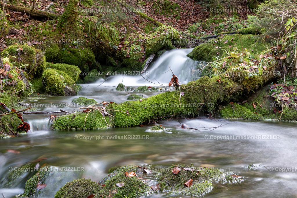 _07A9605 | medienkrizzler - Realisiert mit Pictrs.com