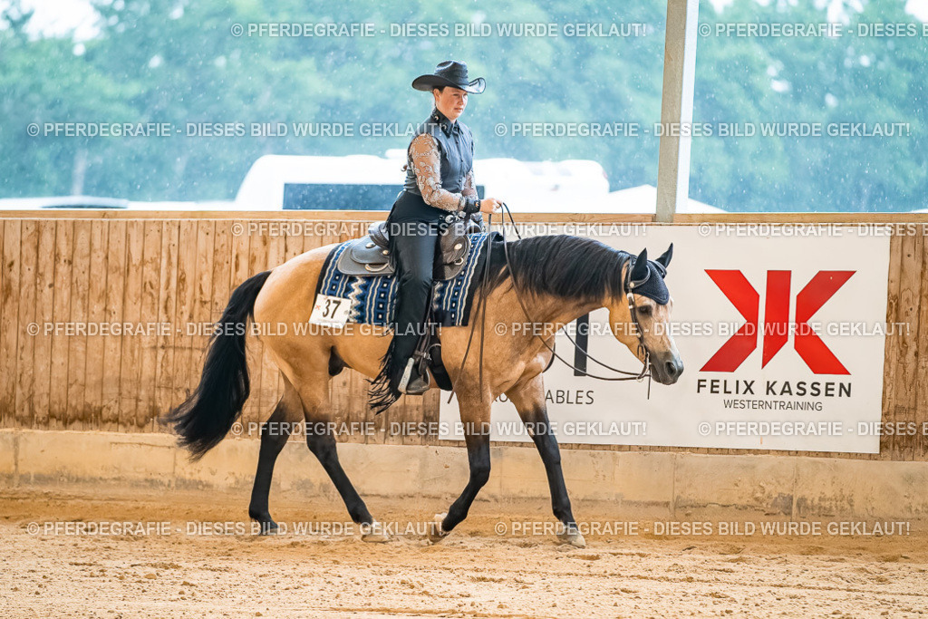 DSC00063 | Pferdegrafie