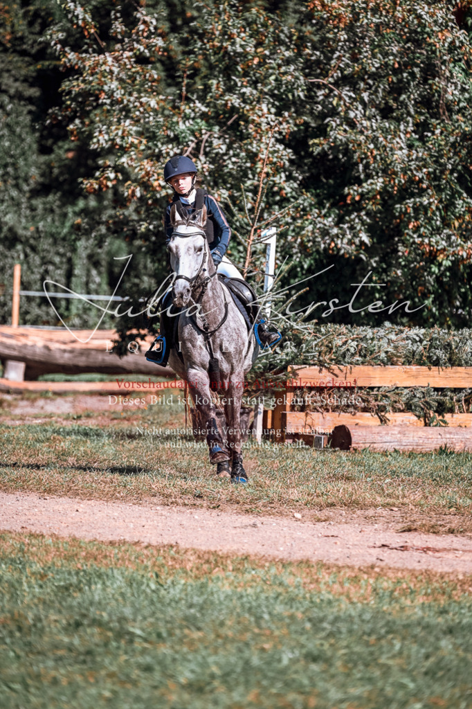 DSC_1169 | Pferde- und Turnierfotografie in Westsachsen. Pferdeportraits, Auftragszeichnungen und intuitive Kunst.