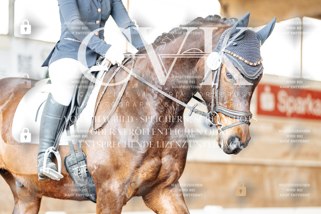 CK900912 | Turnierfotografie Pferdefotografie Trier Rheinland-Pfalz Pferdesport Reitsport Tierfotografie Sportfotografie Pferdevideo Pferdevideografie Equestrianvideography equestrianphotography  - Realisiert mit Pictrs.com