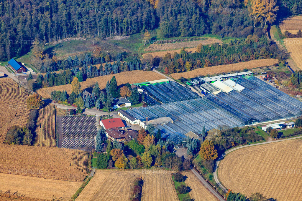 Luftbild: Geranien Endisch GmbH in Hagenbach im Bundesland Rheinland-Pfalz in Deutschland. Foto: IMG_35291.jpg vom 31.10.2010 durch Werner Riehm/FLY-FOTO.de