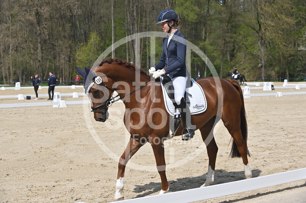 DSC_1120 | sattelsport - Realisiert mit Pictrs.com