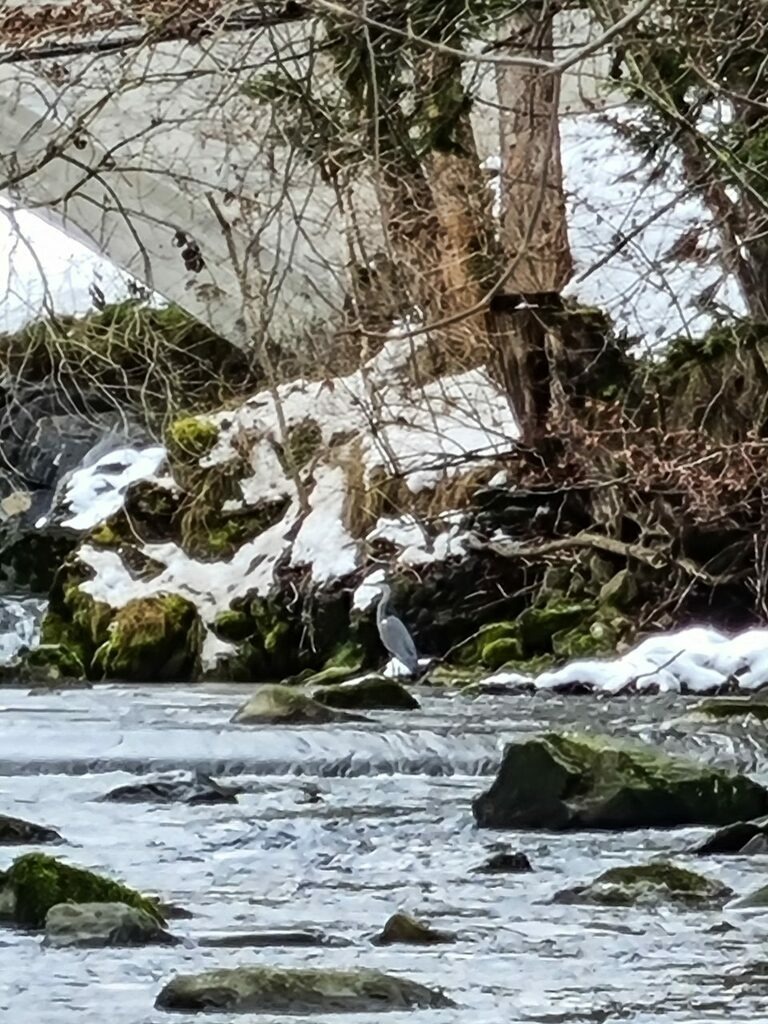 PSX_20211213_210103 | mtkfoto_ - Realisiert mit Pictrs.com