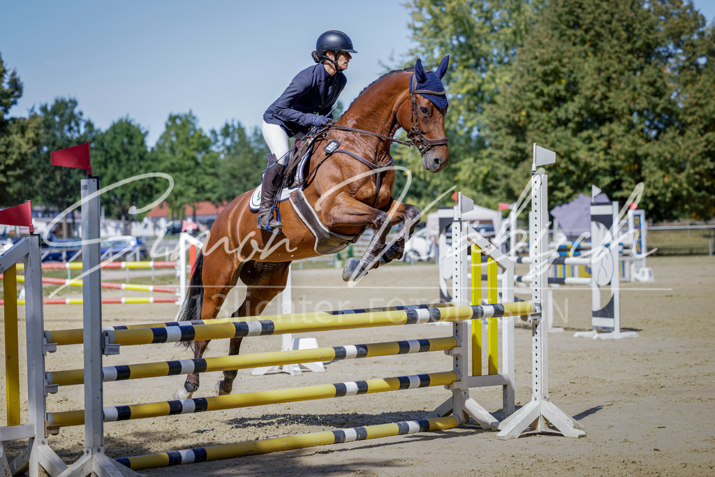 20250906-_3LI4057 | Tierfotografie Pferde, Hunde, Katzen, Haustiere.
Turnierfotografie Reitturniere, Reiten, Springreiten, Dressur in Hanau, dem Main-Kinzig-Kreis und dem Rhein-Main- Gebiet um Frankfurt