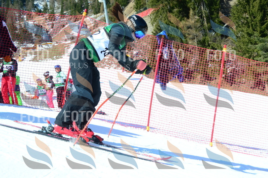 C6049 | holidayphoto